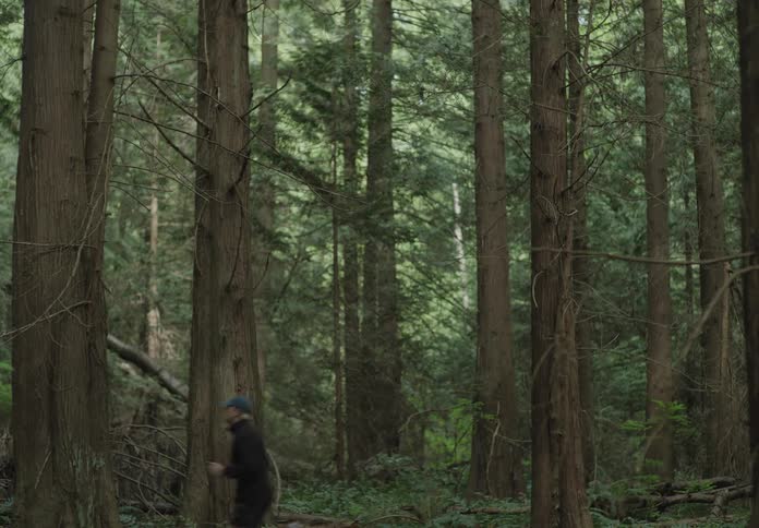 A person jogging with trees in the background