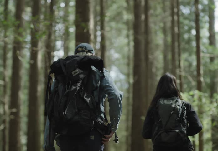 A man and woman use a smart phone to figure out where to go during a hike through a forest