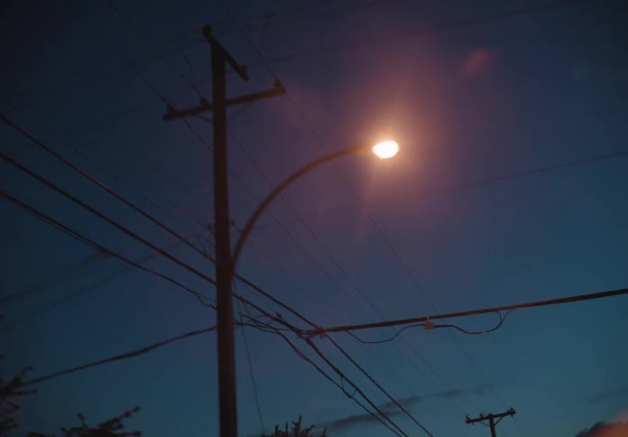Utility poles and trees pass by