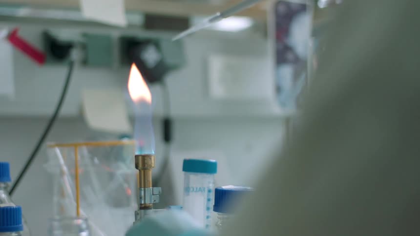 A worker conducts lab work in a laboratory