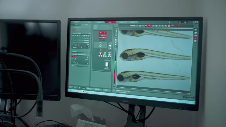 The cursor moves around the screen