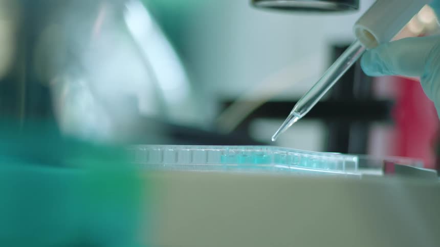 A doctor is testing specimens in a lab