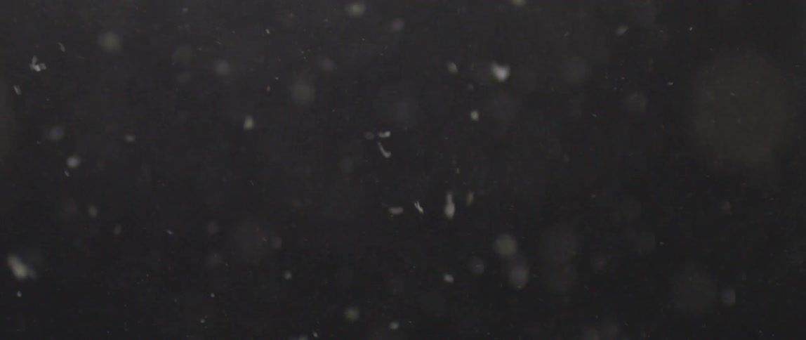 Snowflakes are falling at night time