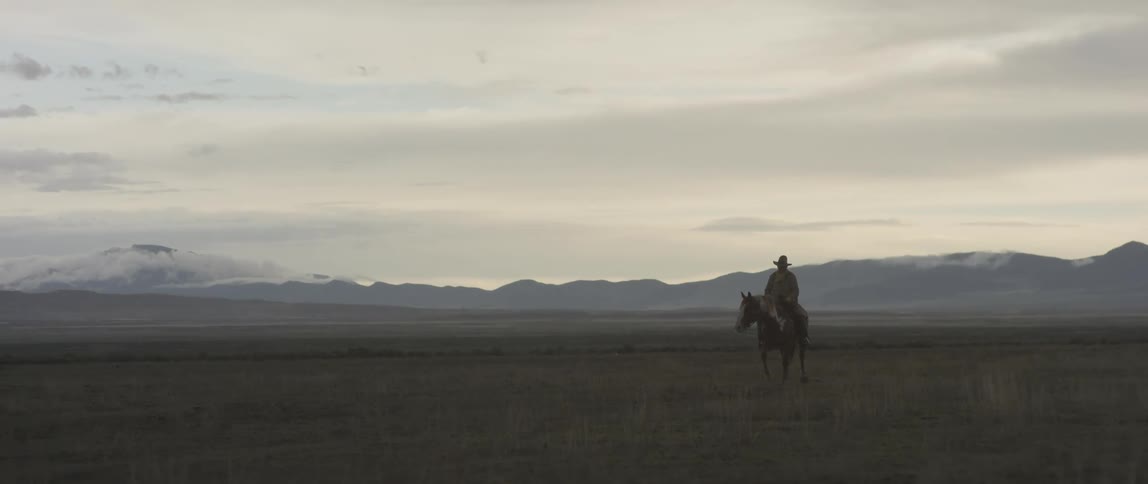 Silhouette of cowboy riding a horse in a pasture at dusk