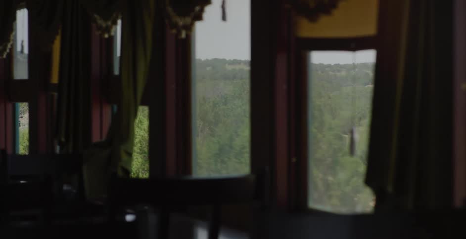 A train is moving through a forest area