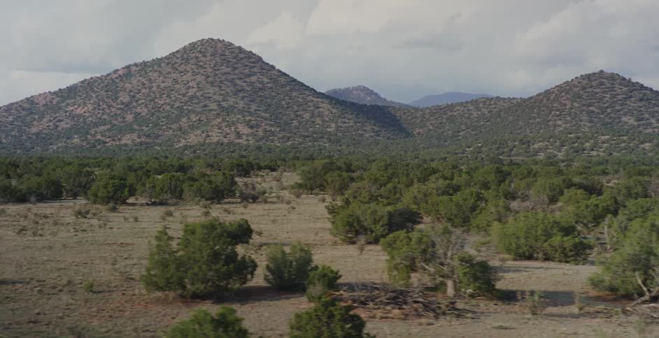 A flat area covered in bushes in front of hills