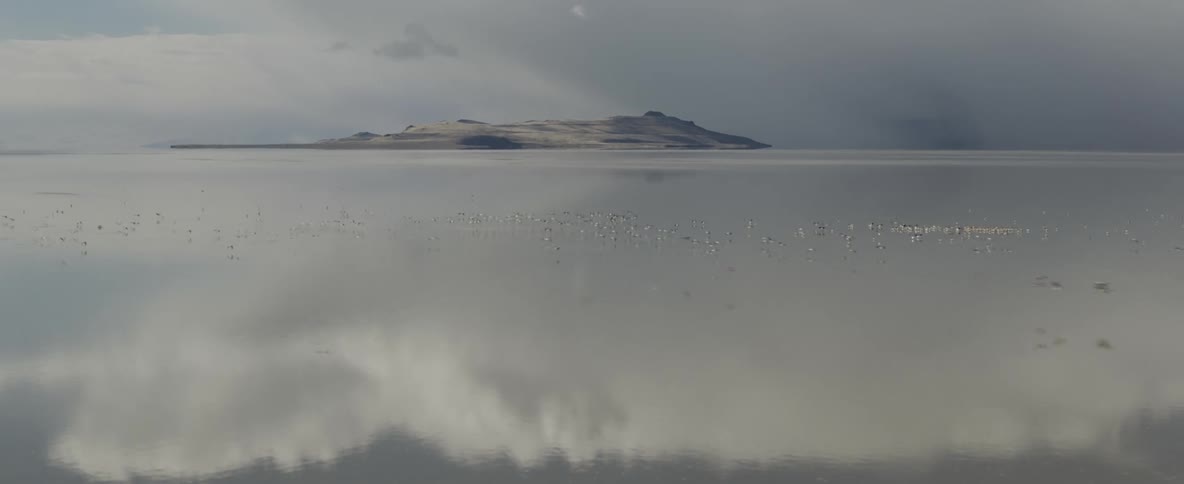 Birds flying over a lake with land and the sky in the background