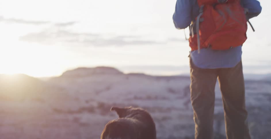 Man and dog stands on a big rock and watch the horizon at sunset