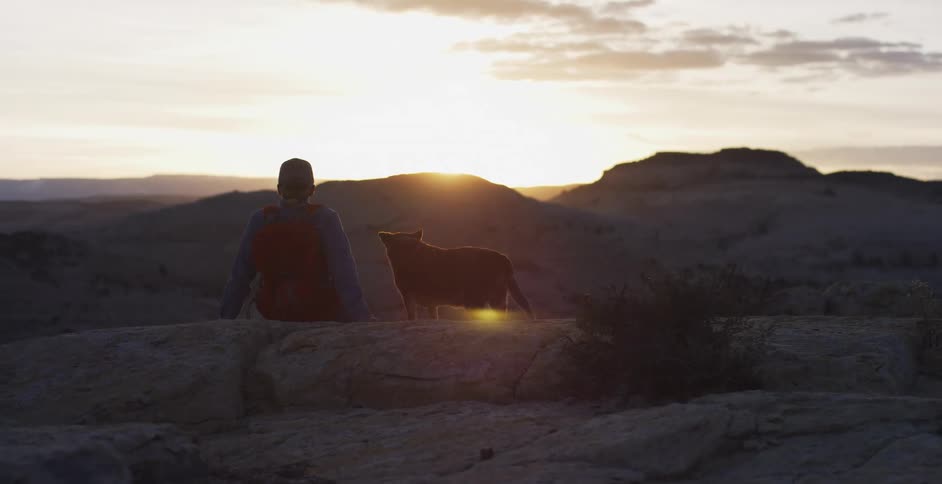 A man sits on a mountain rock with his dog enjoying the horizon sunlight