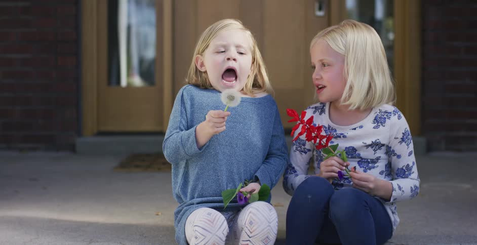 Two little girls on a dandelion