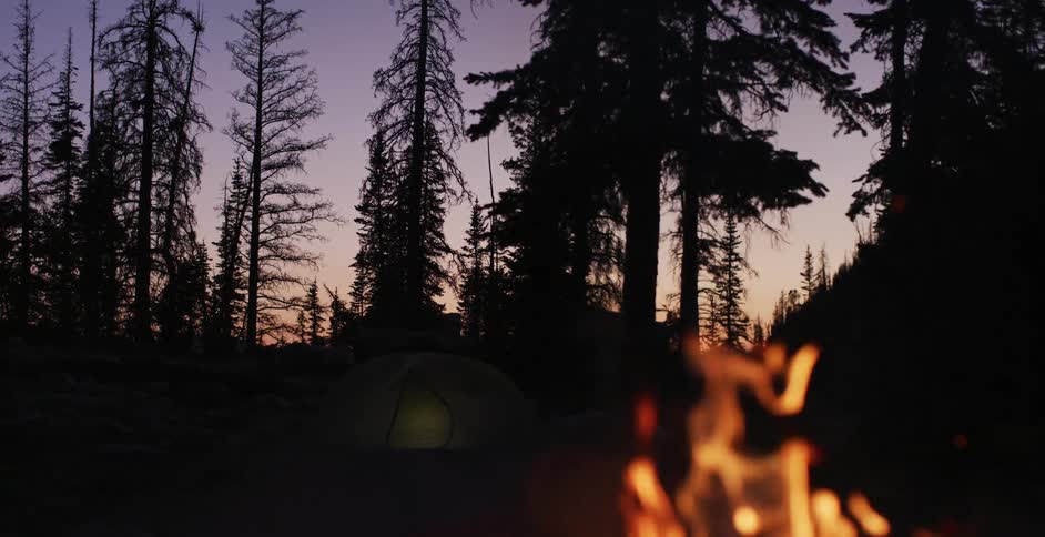 Light shines dimly in tent in conifer forest while campfire burns