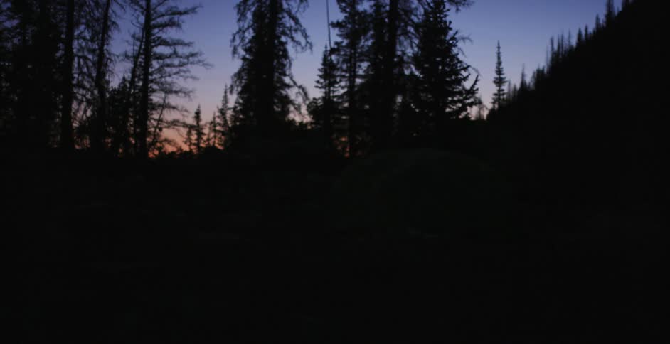 A person inside a tent in the woods turns off an interior lantern
