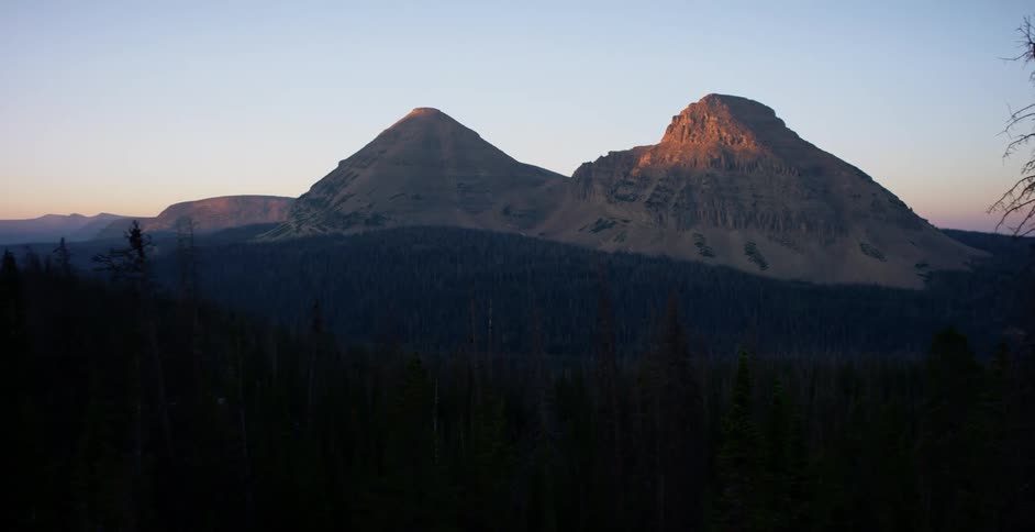 Mountains loom into the sky behind a fir forest
