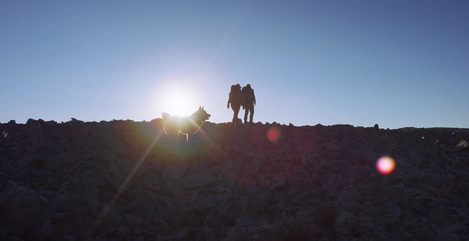 Two people hiking with a dog with the sun and the sky in the background