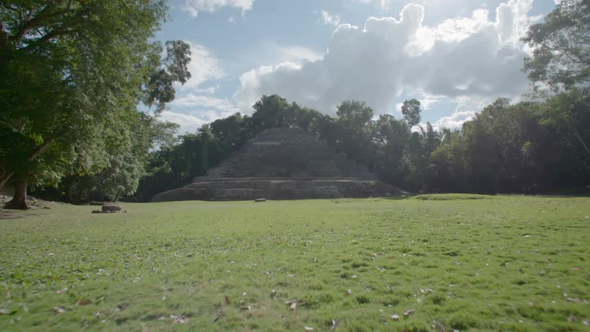 Grasslands before a mound