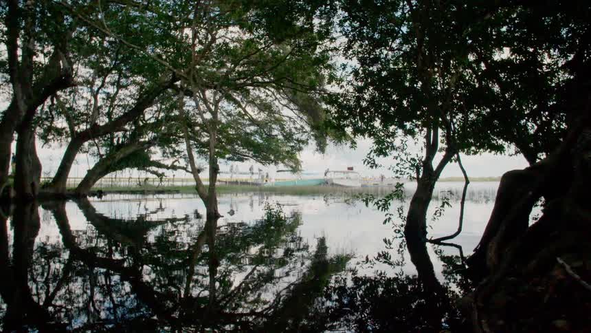 The surface of the lake reflects the tree branches and leaves while people walks down a ramp towards boats