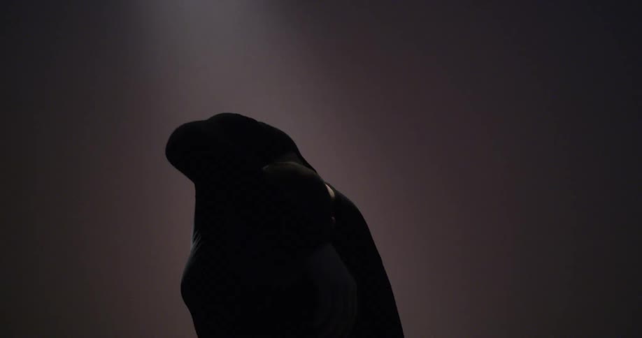 A dancer moves in a fluid motion