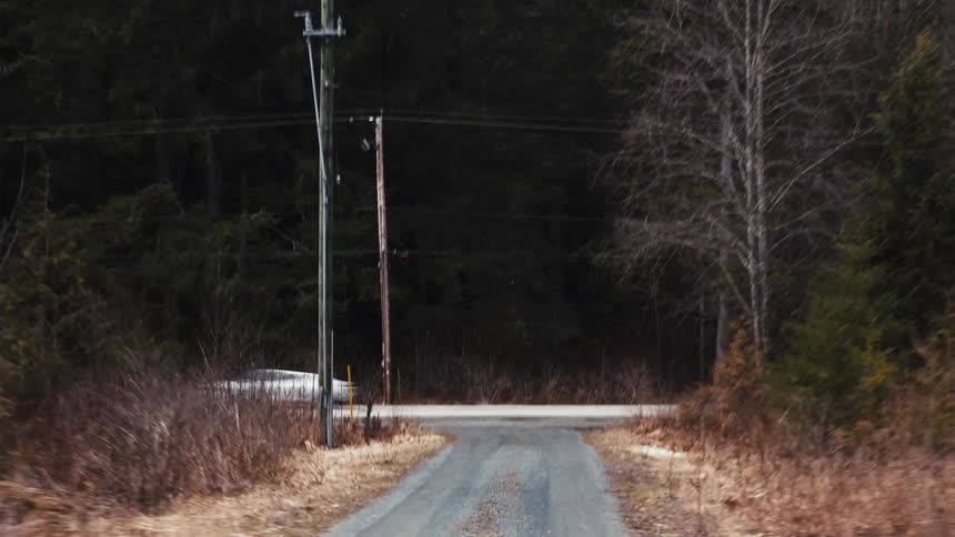 A car drives by a rural road in a forest