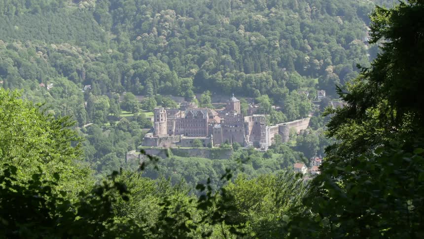A monastery surrounded by trees