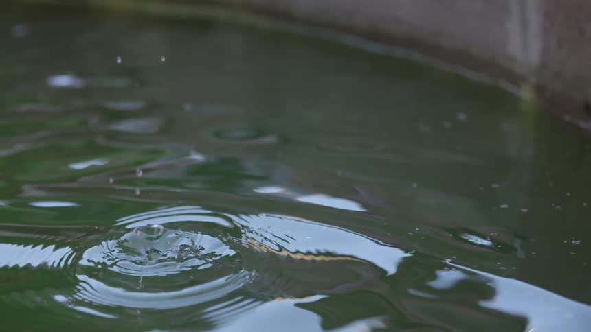 A coin splashes into some water
