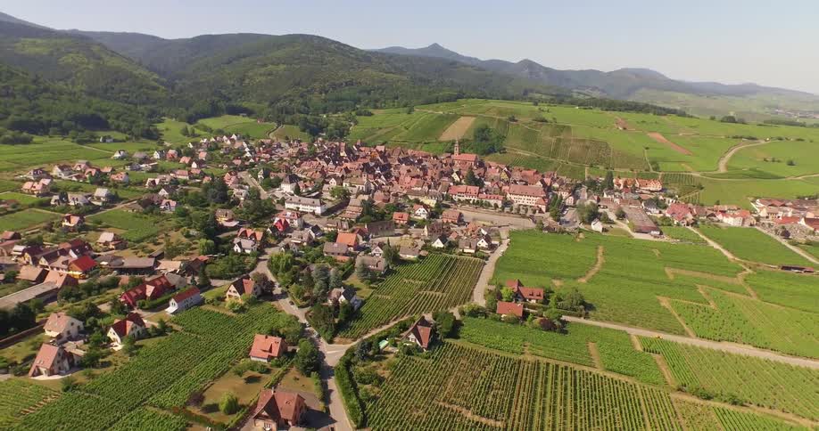 Houses in a neighborhood with surrounding fields