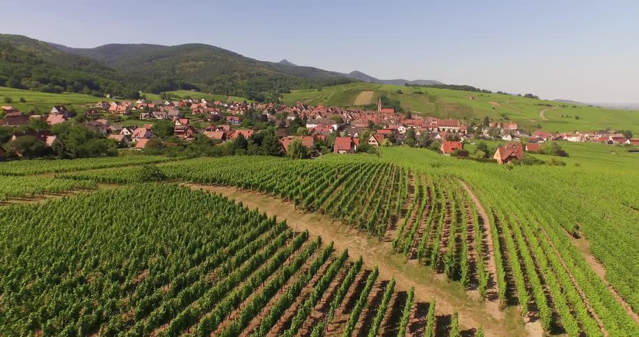 Aerial view of vineyards and village