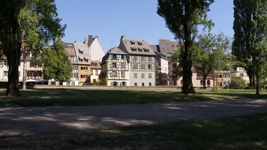 A neighborhood surrounded by trees is displayed