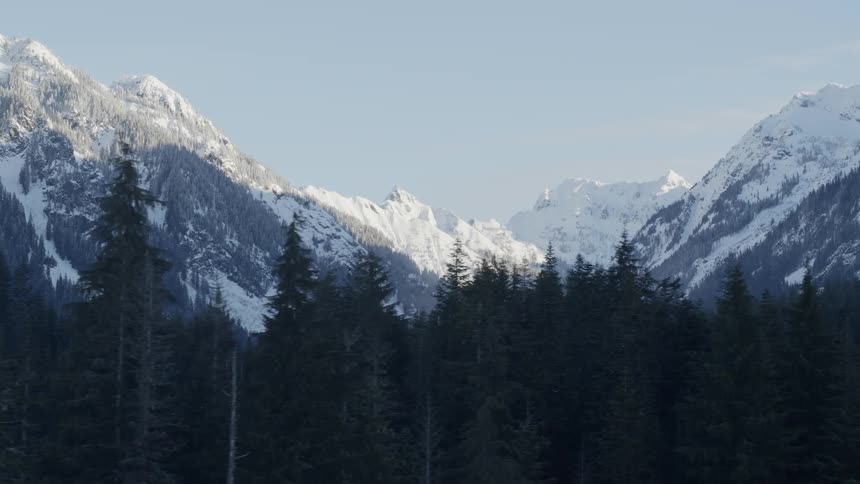 Traverse of a snow covered mountain range behind pine forest at sunrise