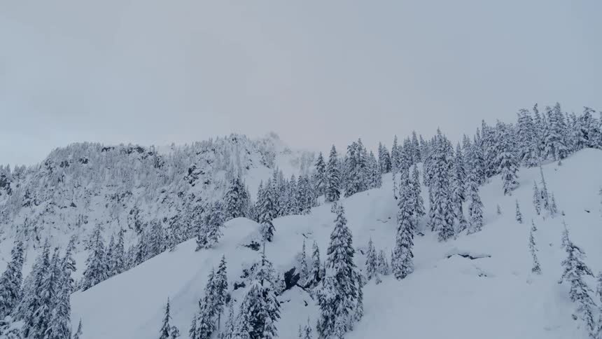 Trees dot the side of a snowy mountain in front of an icy cliff