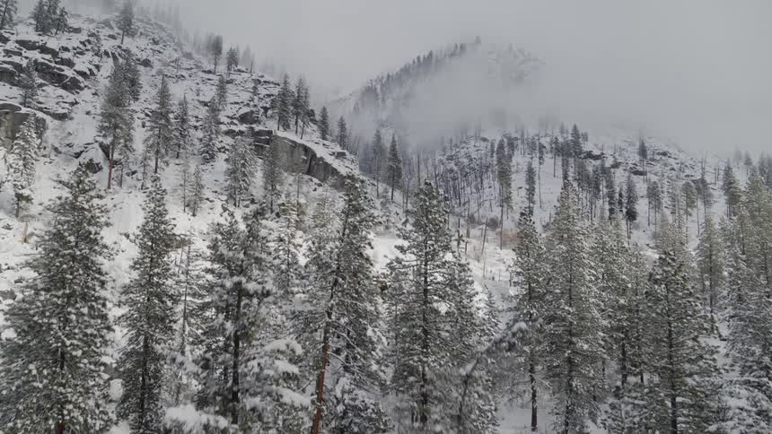 Flying up from the forest floor to reveal a rugged misty mountainside