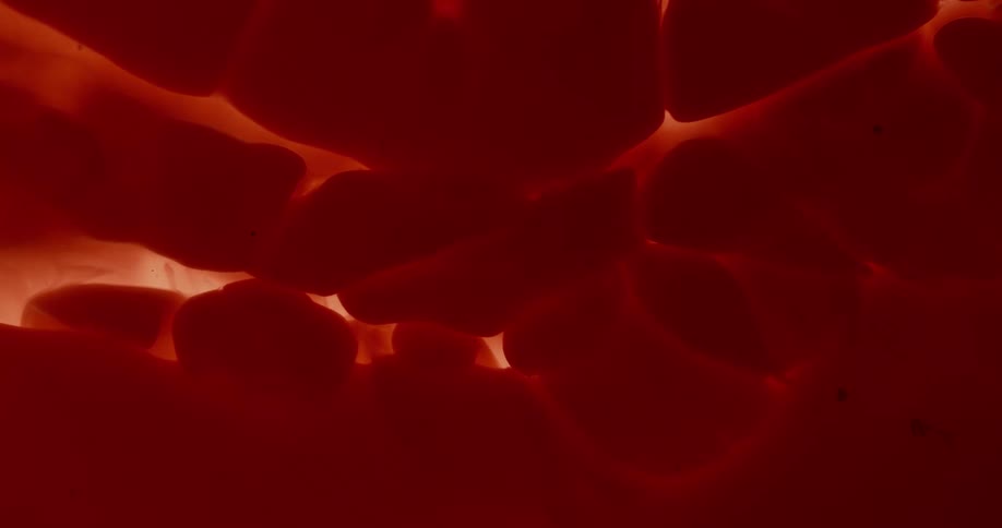 Reddish colored blobs float in liquid with light seeping through