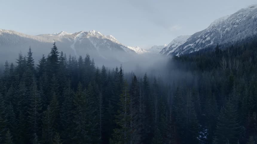 Skimming over the tree tops of a mountain valley forest
