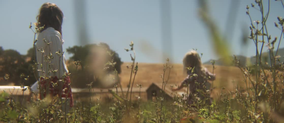 Children play in a field of weeds during the day