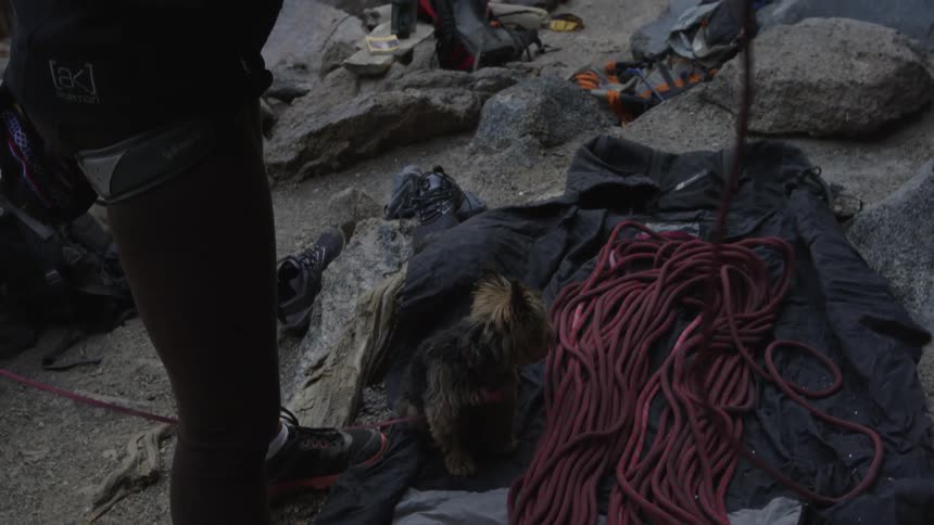 A female rock climber checking her ropes while standing on the ground near a small dog