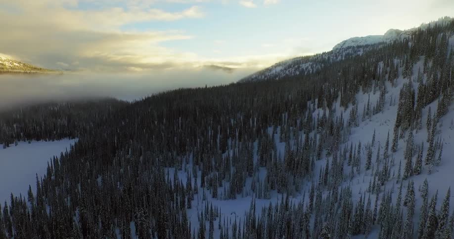Aerial through trees in a snowy forest at sunset
