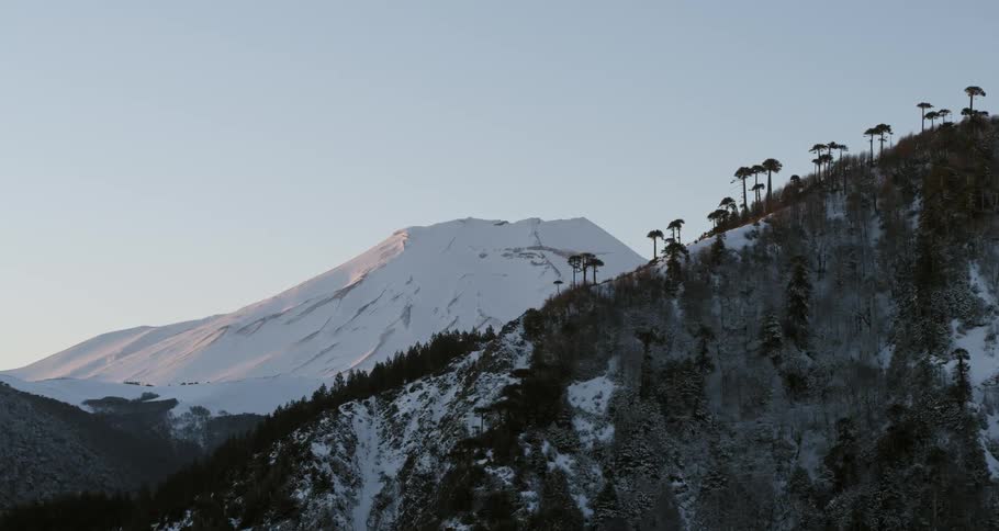 Aerial as a forest ridge wraps to reveal a snowy volcano