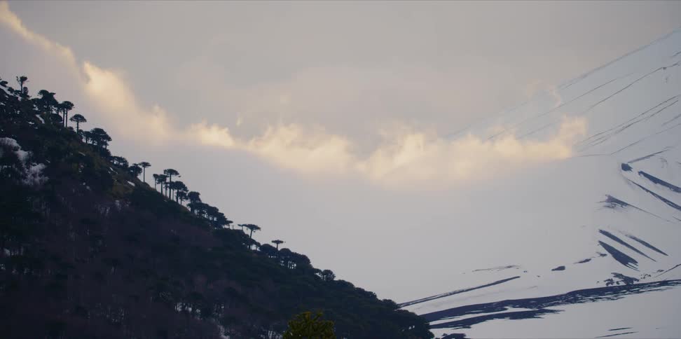 Sunset clouds on a snowy mountain with a forest