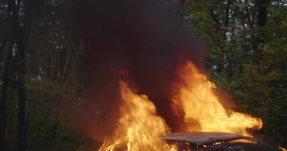 A car burns and emits black smoke in the forest