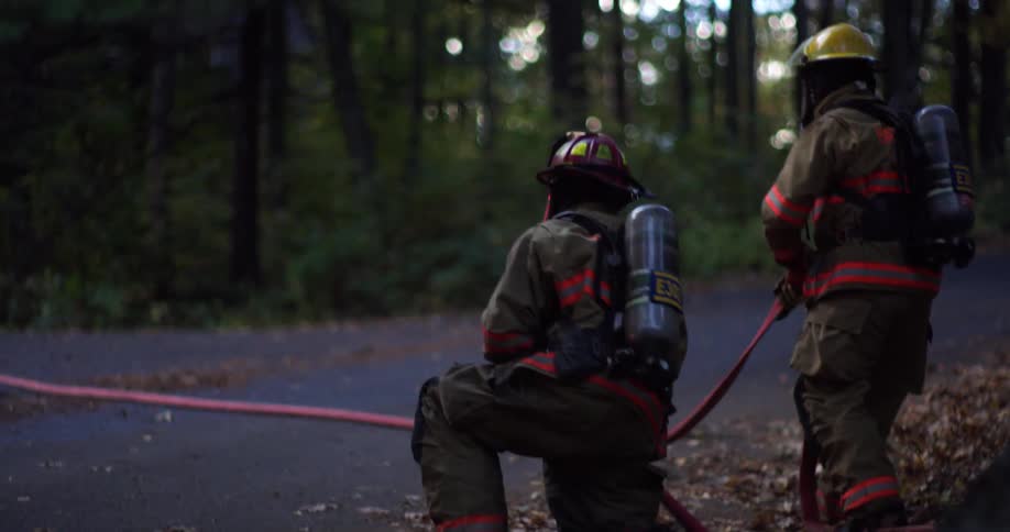 Two firefighters pull firehose toward them while standing at side of road in forest