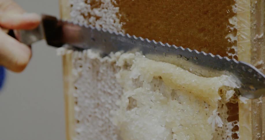A beekeeper scrapes the honeycomb panel with a knife