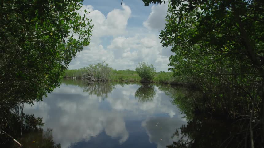 A small lake is surrounded by trees and grass