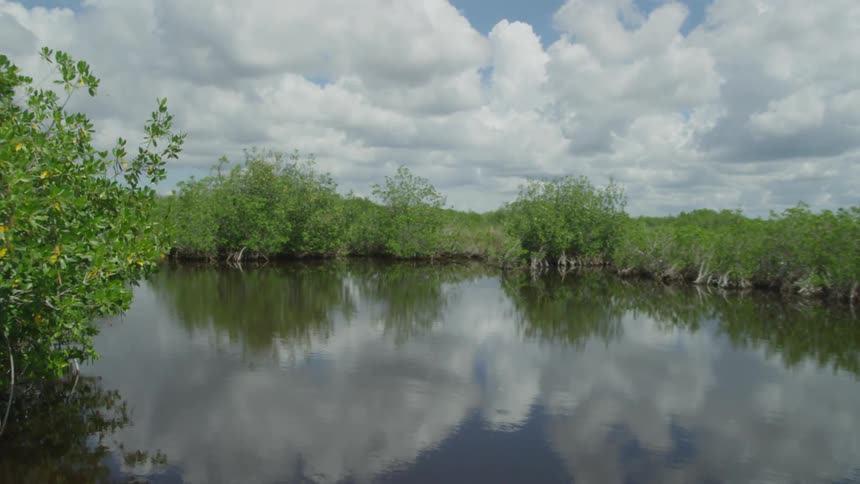 First person view of traveling down a river