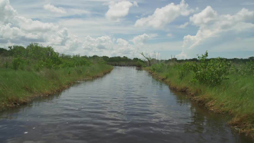 A small stream is calm on a cloudy day