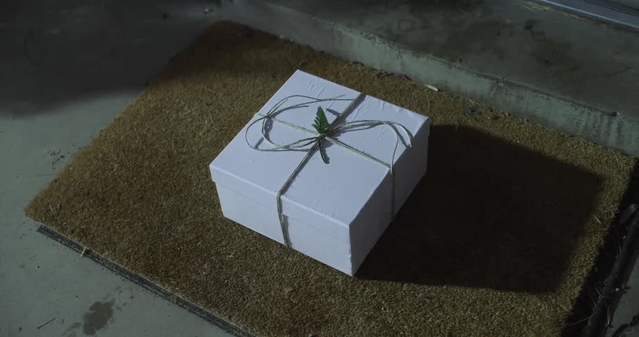 A white box wrapped with a green ribbon sits on a mat outside a front door