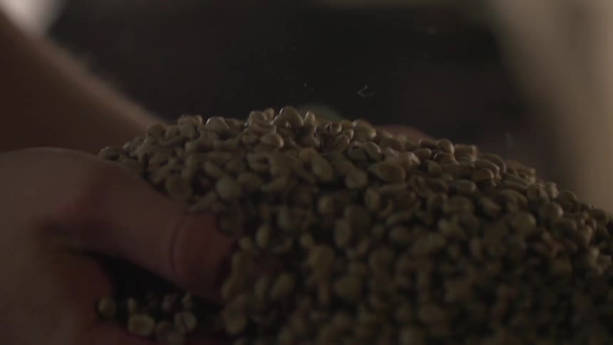 A white man picks up a pile of seeds with his hands and lets them fall back into a pile