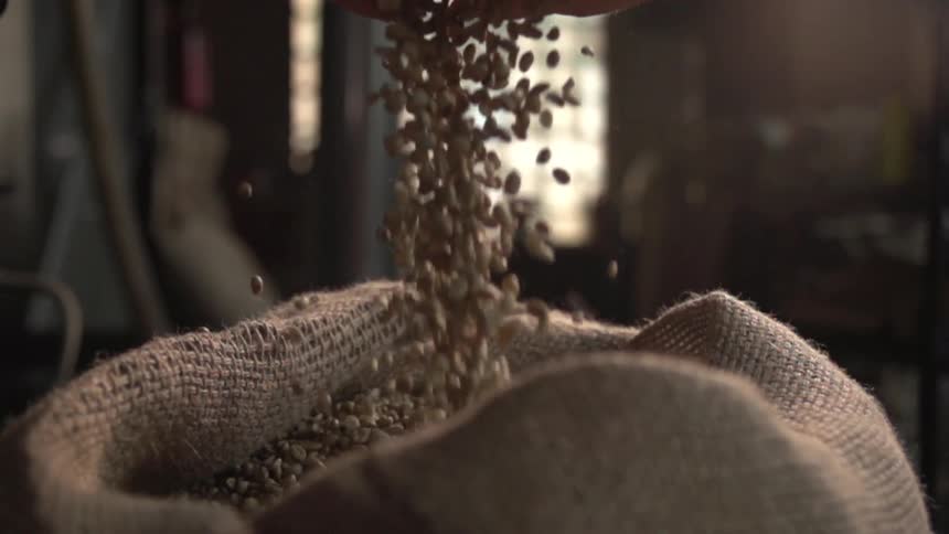 Person lifts cupped hands full of grain letting some spill