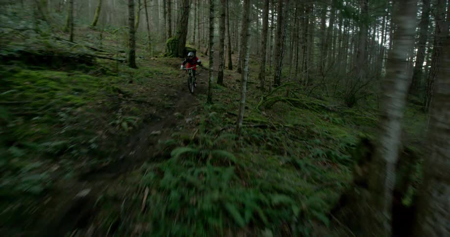 A man rides a mountain bike down a dirt path in the woods