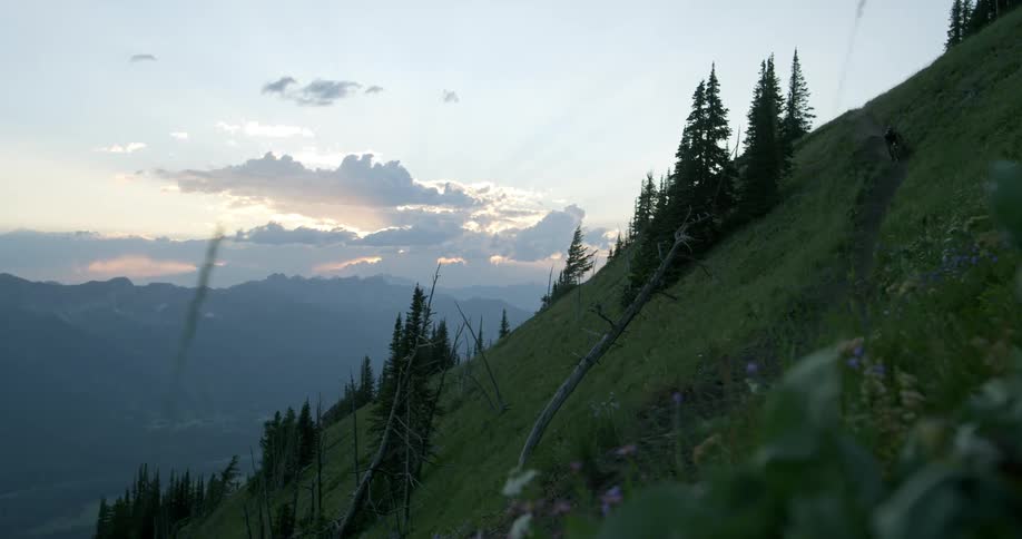 Mountain biker rides down trail on mountainside at dusk