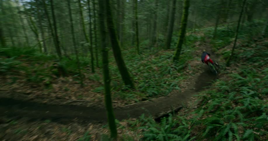 Downhill Mountain Biking Cablecam In Forest