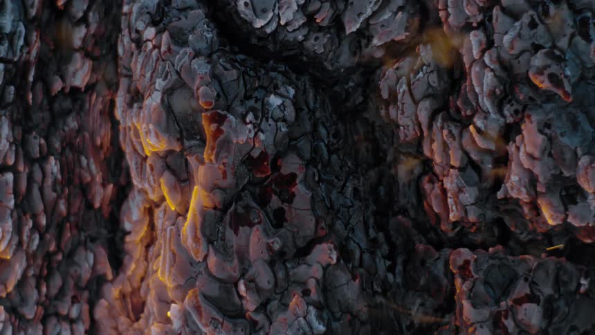 Burning tree bark glows from forest fire